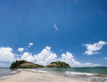 Naturphänomene auf Martinique