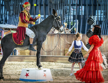 „CAVALLUNA Kids – Eine Show steht Kopf!“ in München