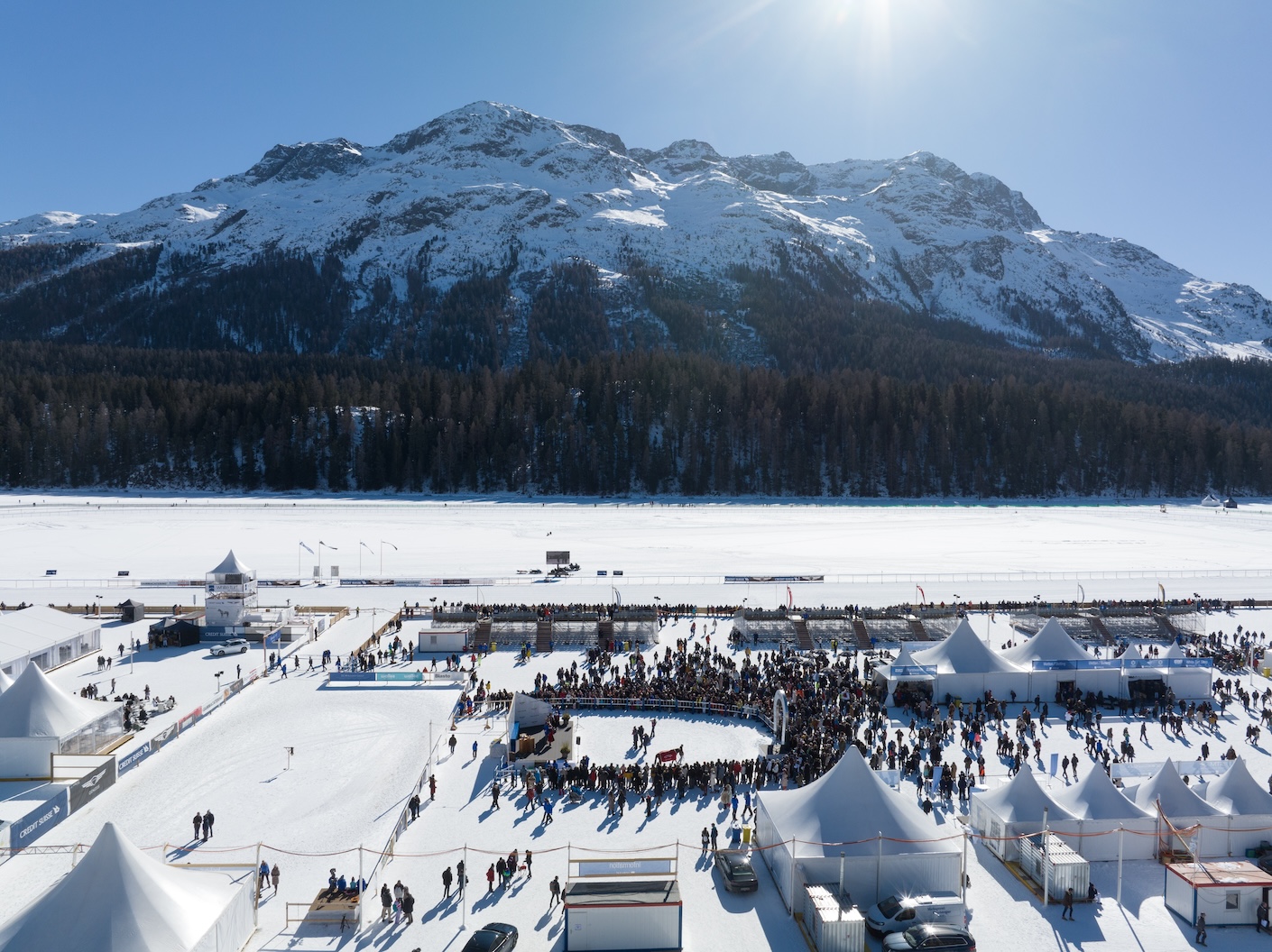 White Turf St.Moritz, 6.2.2022: Nur 800m, mit LIVE-Stream - unsere