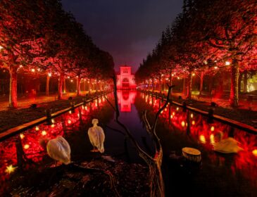 Feierliche Eröffnung des Christmas Garden Stuttgart 2024